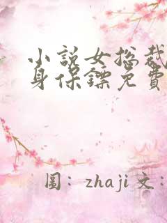 小说女总裁的贴身保镖免费阅读