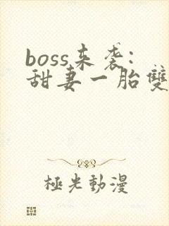 boss来袭:甜妻一胎双宝