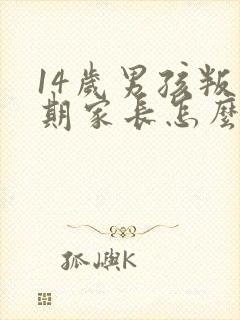 14岁男孩叛逆期家长怎么办?