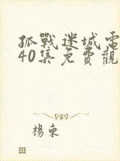 孤战迷城电视剧40集免费观看