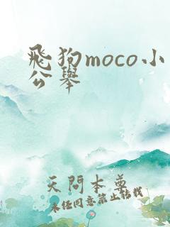 飞狗moco小公举