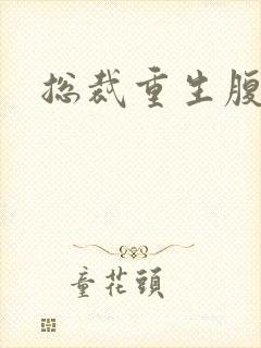 总裁重生腹黑妻