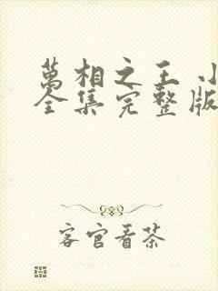 万相之王 小说全集完整版