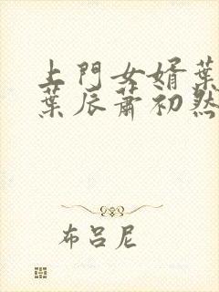 上门女婿叶辰 叶辰萧初然531