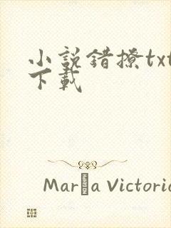 小说错撩txt下载