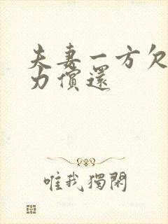 夫妻一方欠债无力偿还