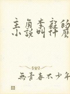 主角李毅的官场小说叫什么名字