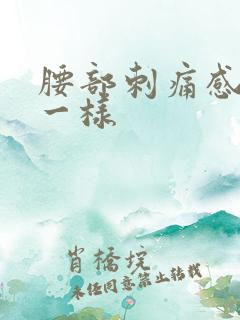 腰部刺痛感针扎一样