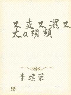 又爽又湿又紧又大a视频