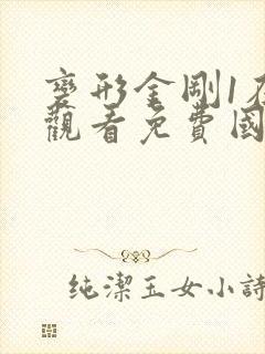 变形金刚1在线观看免费国语版