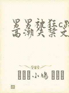男男被狂c躁到高潮失禁文