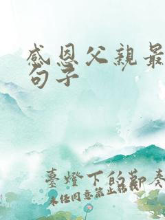 感恩父亲最经典句子