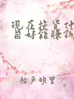 现在投资什么项目好能赚钱