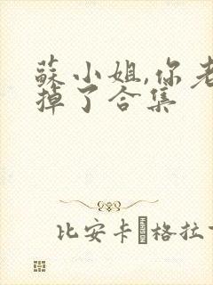 苏小姐,你老公掉了合集