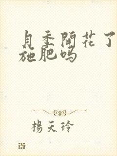 月季开花了还能施肥吗