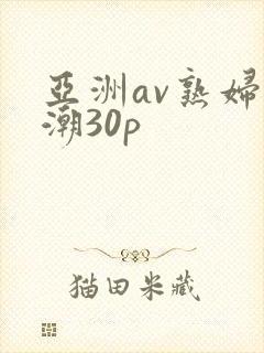 亚洲av熟妇高潮30p