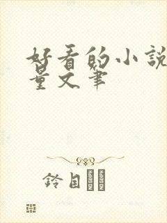 好看的小说高质量文笔