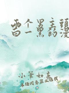 两个男主头发一白一黑的漫画