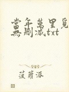 当年万里觅封侯无删减txt