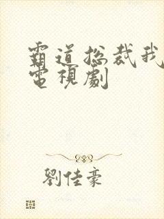 霸道总裁我爱你电视剧