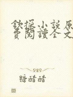 钦探小说原著免费阅读全文