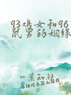 93鸡女和96鼠男的姻缘破解