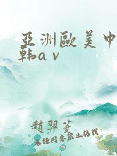 亚洲欧美中文日韩a v
