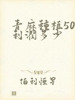 青麻种植50亩利润多少