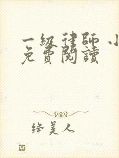 一级律师 小说免费阅读