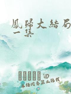 凤归大结局最后一集