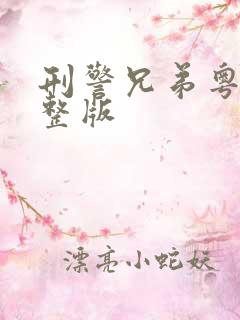 刑警兄弟粤语完整版