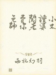 免费阅读小说少帅你老婆又跑了全文