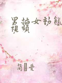 男插女动态邪恶视频