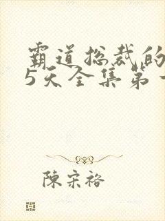 霸道总裁的365天全集第一季