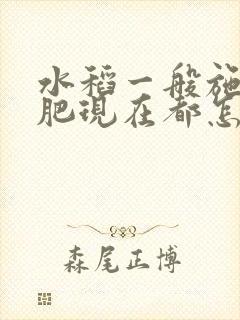 水稻一般施几次肥现在都怎样施肥