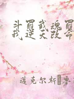 斗罗武魂罗三炮我逆天改命