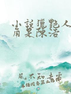 小说猎艳人生主角是陈浩