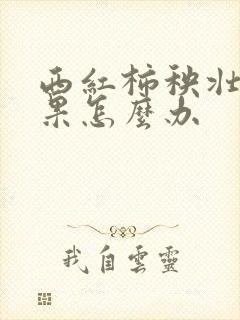 西红柿秧壮不膨果怎么办