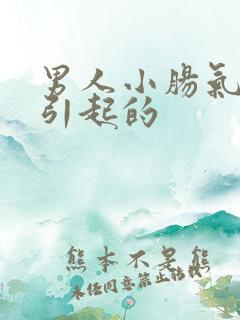 男人小肠气什么引起的