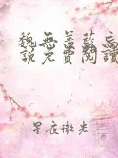 魏无羡蓝忘机小说免费阅读