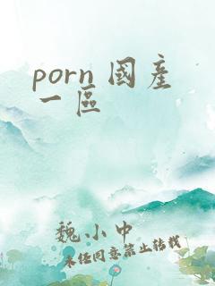porn 国产一区