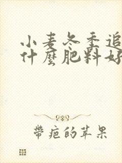 小麦冬季追肥用什么肥料好