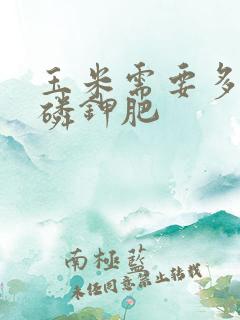 玉米需要多少氮磷钾肥