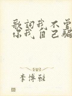 歌词我不曾爱过你我自己骗自己是什么歌