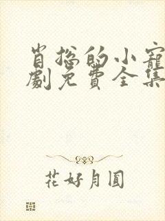 肖总的小宠妻短剧免费全集免费播放