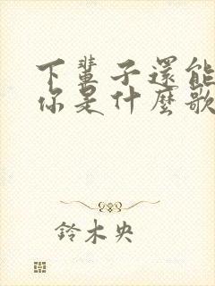 下辈子还能遇见你是什么歌