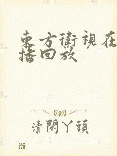 东方卫视在线直播回放