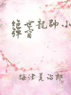 绝世龙帅小说无弹窗