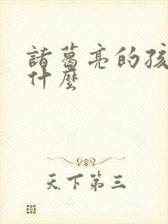 诸葛亮的孩子叫什么