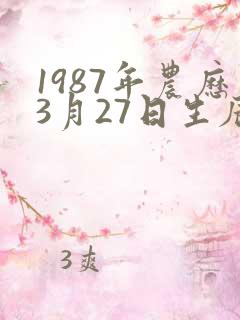 1987年农历3月27日生辰八字